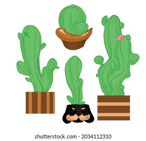 vector cacti in pots. botanical illustration