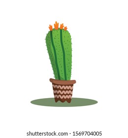 Vector cactus cartoon, simple colorful cactus vector. suitable for book or decoration illustrations