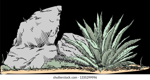 vector - cactus en el desierto - desierto 