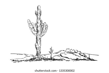 vector - cactus in desert - desert countryside 