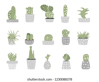 Vector cactus design set.  Collection of succulents isolated on white background.