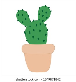 Vector cactus . exotic plants. Decorative natural elements isolated on white. 