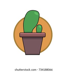 Vector cactus / flat cactus icon