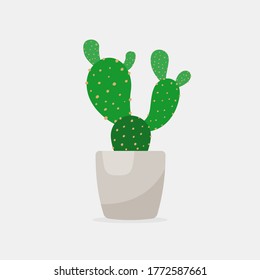 Vector cactus in flower clay pot. Flat colorful design illustration