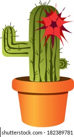 vector with cactus with flower in a pot on the transparent background