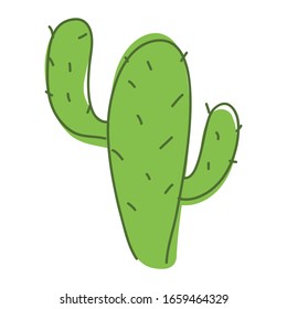 vector cactus with green outline