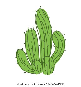 vector cactus with green outline