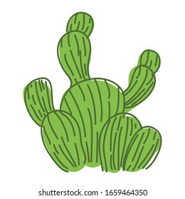 cactus vectoriales con contorno verde