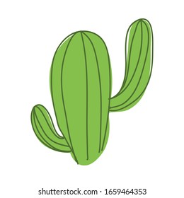vector cactus with green outline