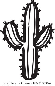 Vector Cactus hand-drawn icon illustration.