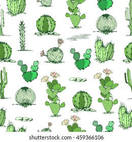 Vector Cactus hand-drawn seamless pattern. Different types of succulent. Vector contour image. Doodle style. 