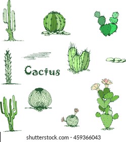 Vector Cactus hand-drawn set. Different types of succulent. Vector contour image. Doodle style. 