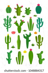 Vector cactus icons with flowers
