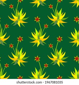 Vector - cactus illustrated pattern.
Aloe vera, floral watercolor art.