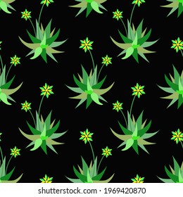 Vector - cactus illustrated pattern.
Aloe vera, floral watercolor art.