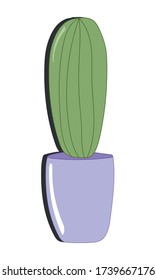 Ilustración de cactus vectorial. Caricatura de estilo plano. Cactus verdes en una olla morada.