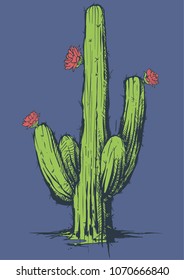 Vector Cactus Illustration in sketch style 