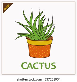 Vector Cactus isolated. Home Flower. Cute Plant.
