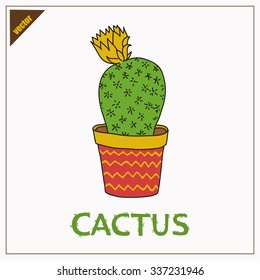 Vector Cactus isolated. Home Flower. Cute Plant.