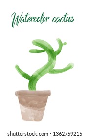 Vector cactus isolated on white background, watercolor style