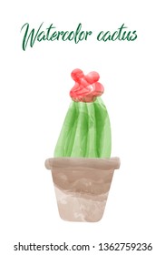 Vector cactus isolated on white background, watercolor style
