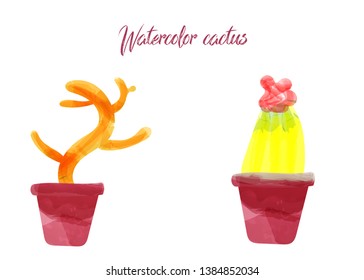 Vector cactus isolated on white background, watercolor style