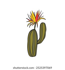 Cactos vetoriais isolados sobre fundo branco. Ícone desenhado à mão de cacti florescente. Elemento ilustrativo da natureza.