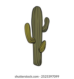 Cactos vetoriais isolados sobre fundo branco. Ícone desenhado à mão de cacti florescente. Elemento ilustrativo da natureza.