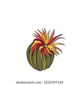 Vector cactus isolated on white background. Hand drawn icon of blooming cacti. Illustration element of nature.