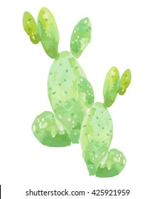 Vector cactus isolated on white background, watercolor style