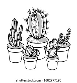 Ilustración de esbozo de cactus vectoriales. La mano dibujó diferentes cactus. Planta en una olla. ramo de cactus. Vista superior del cactus aislada. suculentos