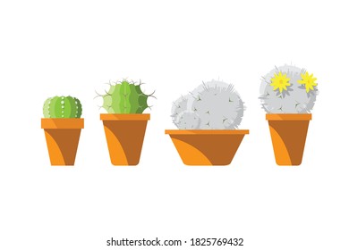 vector cactus on white background.Succulent plant