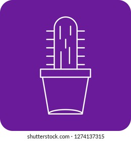 vector cactus plant icon 
