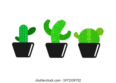 Vector of cactus in pot on white background
