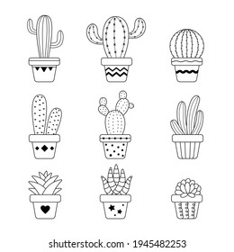 Vector cactus in potted plant. Cactus A variety of succulent plants that are popular to grow.