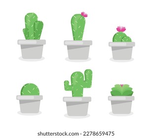 vector cactus. Potted plants indoor and outdoor garden landscape isolated on white. Vector set of green plants in pots, illustration of blooming flower pots