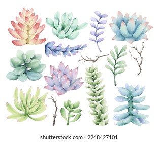 Vector Cactus ,Cactus potted, watercolor painting. Cacti, succulents set isolated on white. Perfectly for stickers, greeting design.
