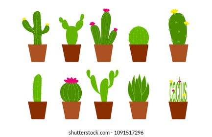 Vector cactus set of nine illustration in pots with flowers. Cactus collections on a white background. Element design, can be used for cards.