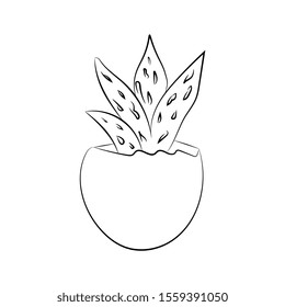 Vector cactus in a small pot. Outline illustration.
