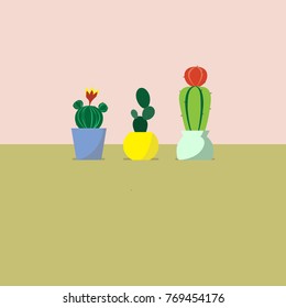 vector cactus and succulent