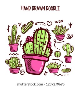 Vector of Cactus and Succulent in Bright Pink and Green Color. Vector Collection