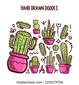 Vector of Cactus and Succulent in Bright Pink and Green Color. Vector Collection