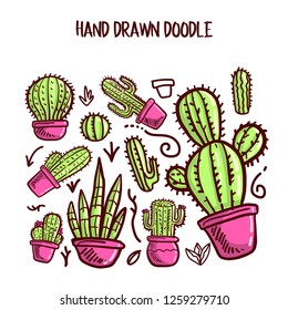Vector of Cactus and Succulent in Bright Pink and Green Color. Vector Collection