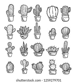 Vector of Cactus and Succulent . Vector Collection