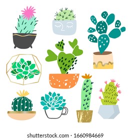 Vector cactus and succulent plant in pots hand drawn illustration isolated on white