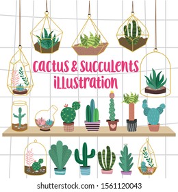 Vector Cactus And Succulents with Geometric terrarium, Soil, Gravel and Rope 