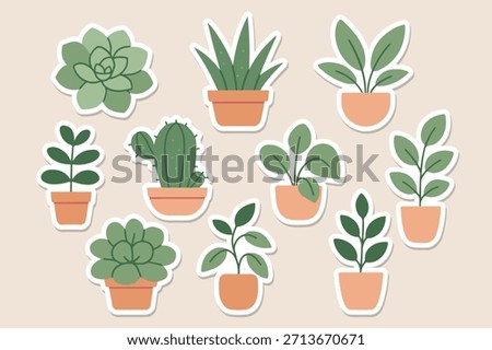 Vector Cactus Succulents Sticker Set