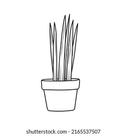 vector cactuse in the pots, In Sketch Drawing