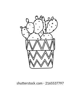 vector cactuse in the pots,  In Sketch Drawing