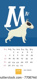 Vector calendar 2018 May Bull terrier